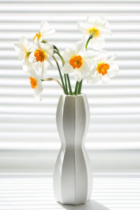 Тени весны фото превью