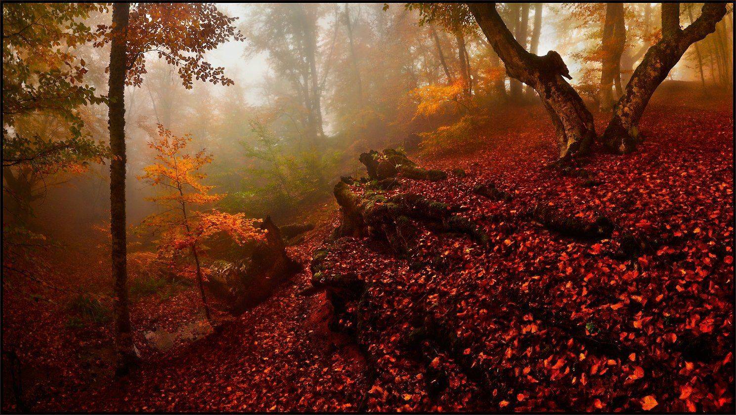 , Владимир Метцгер