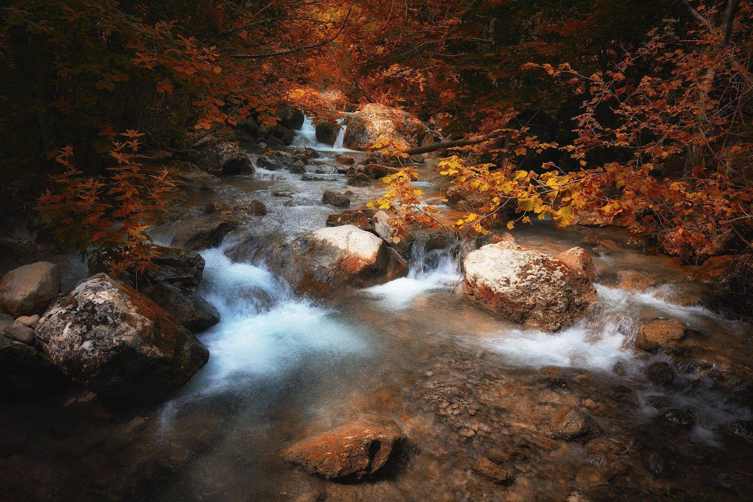 , Алексей Никонов