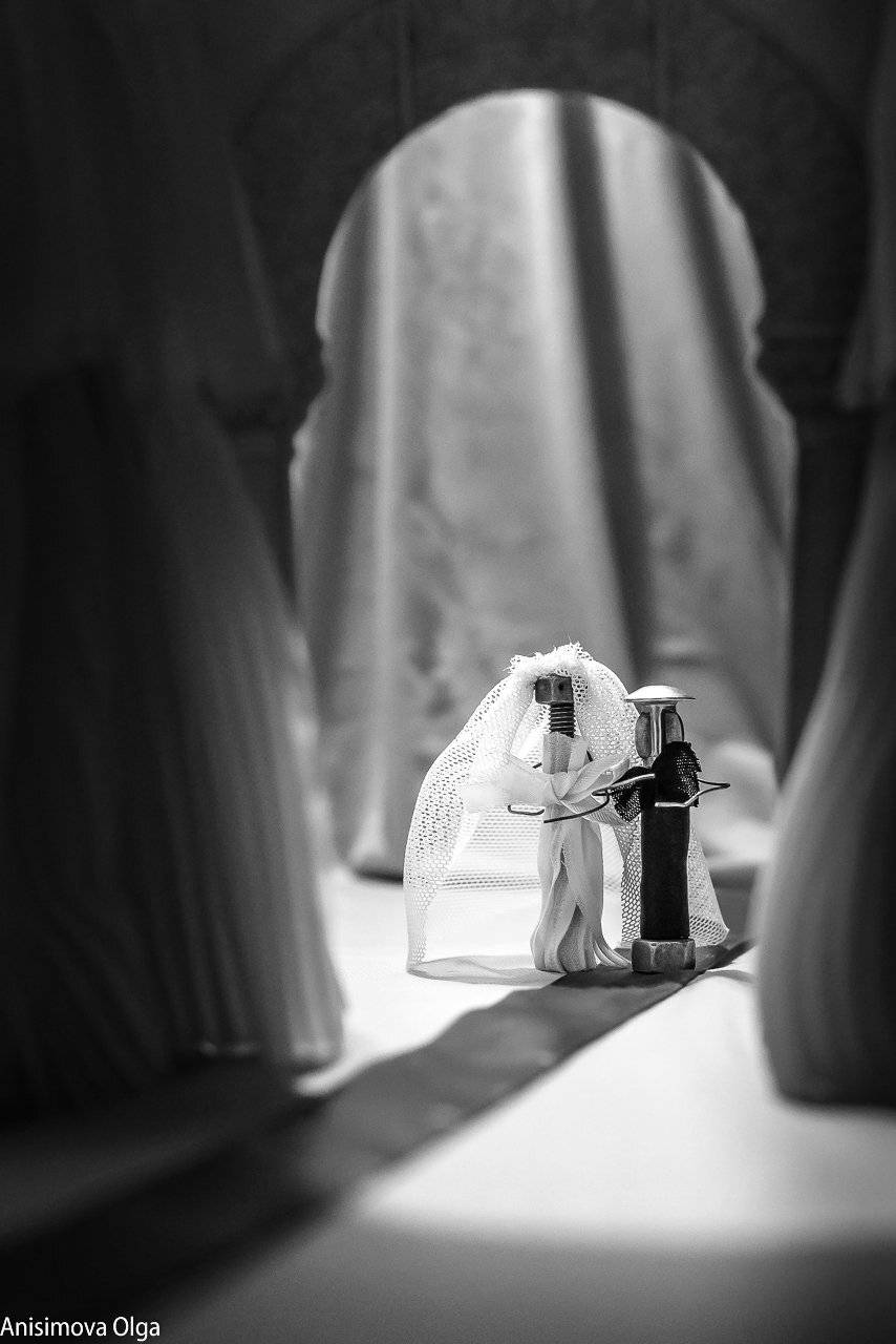 , Анисимова Ольга Леонидовна