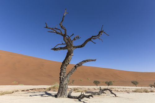 Namibia Sossusvlei