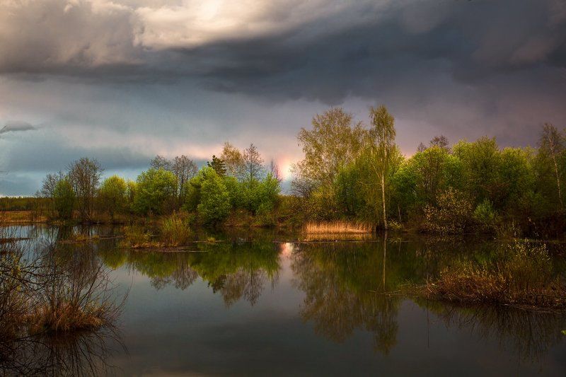 После дождя фото превью