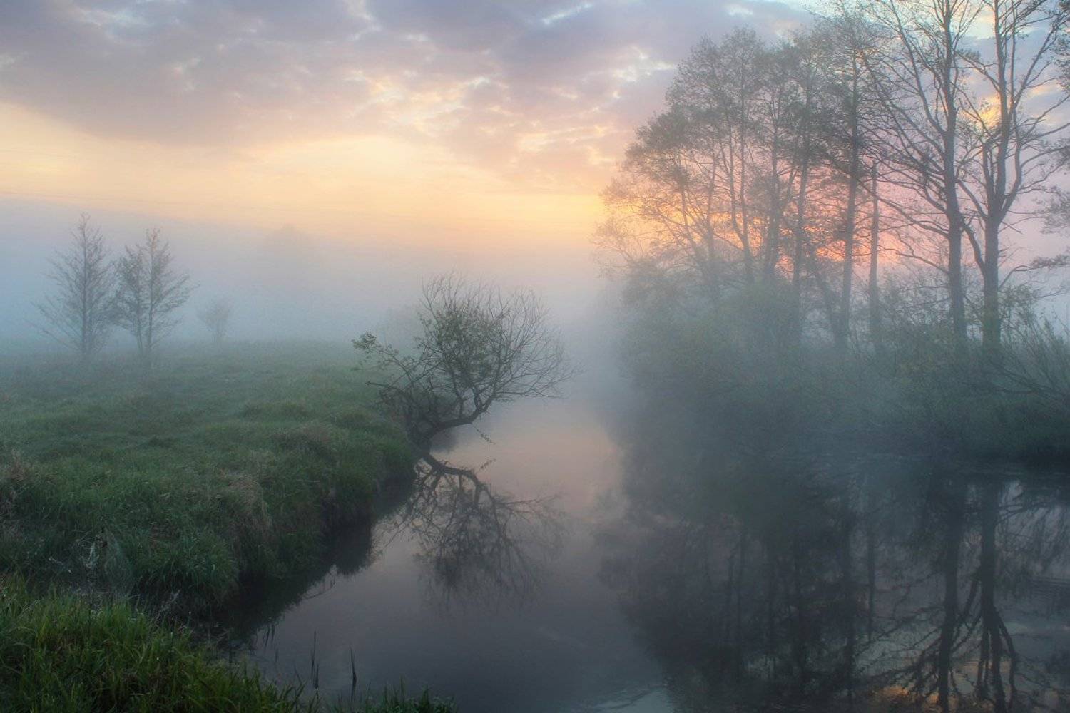 , Игорь Денисов