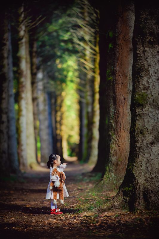 kid, child, girl, pine tree, trees, breenhold garden, celine, face, discovery, autumn pine trees фото превью