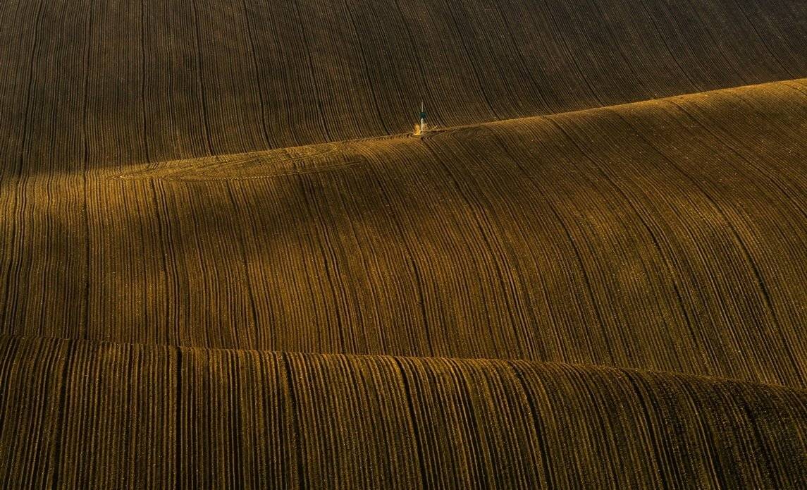 , Franti&scaron;ek Uhler