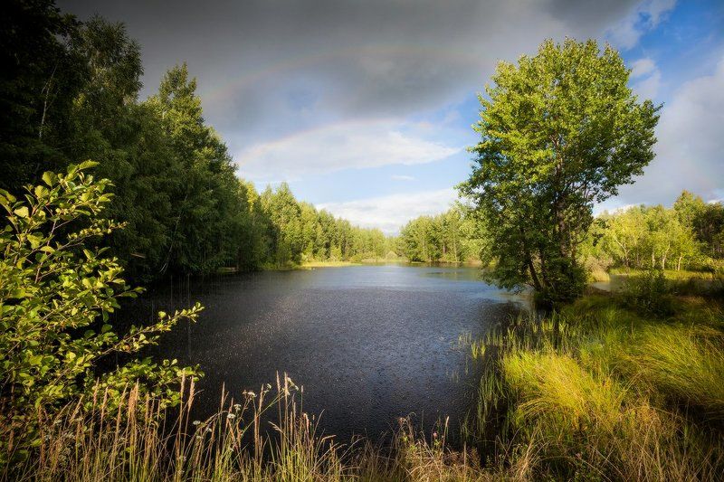 озеро, лес, радуга, ливень, вечер, благодать Летняя сказка фото превью