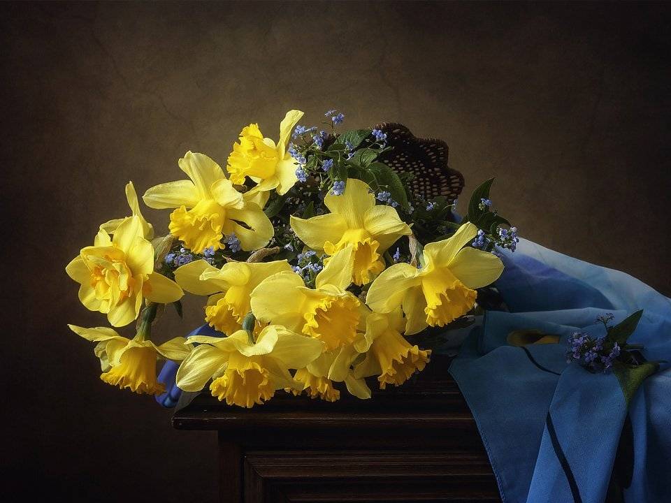 натюрморт, весна, желтые нарциссы, незабудки, Ирина Приходько