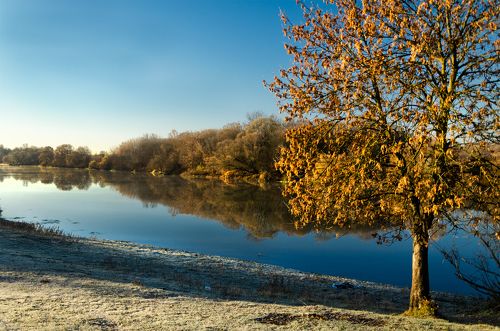 Морозное утро на р.Десне