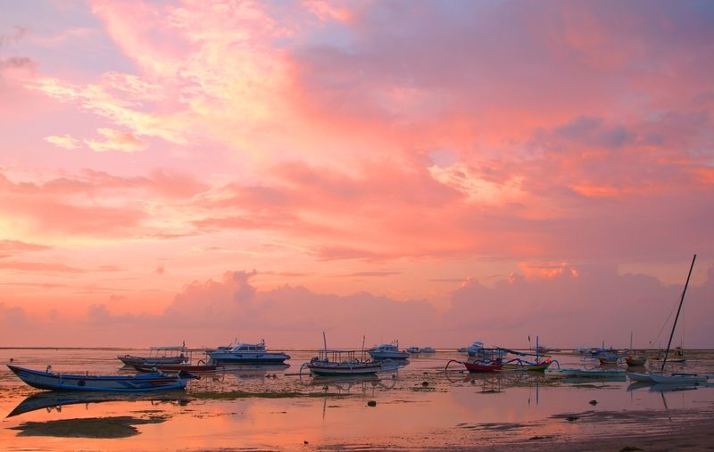 Pink morning фото превью