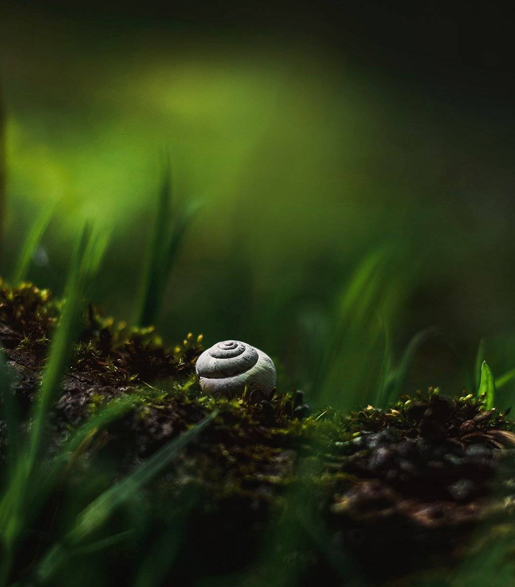 , Чернякова Анна