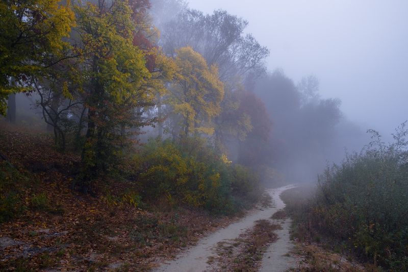 Сиреневый туман фото превью