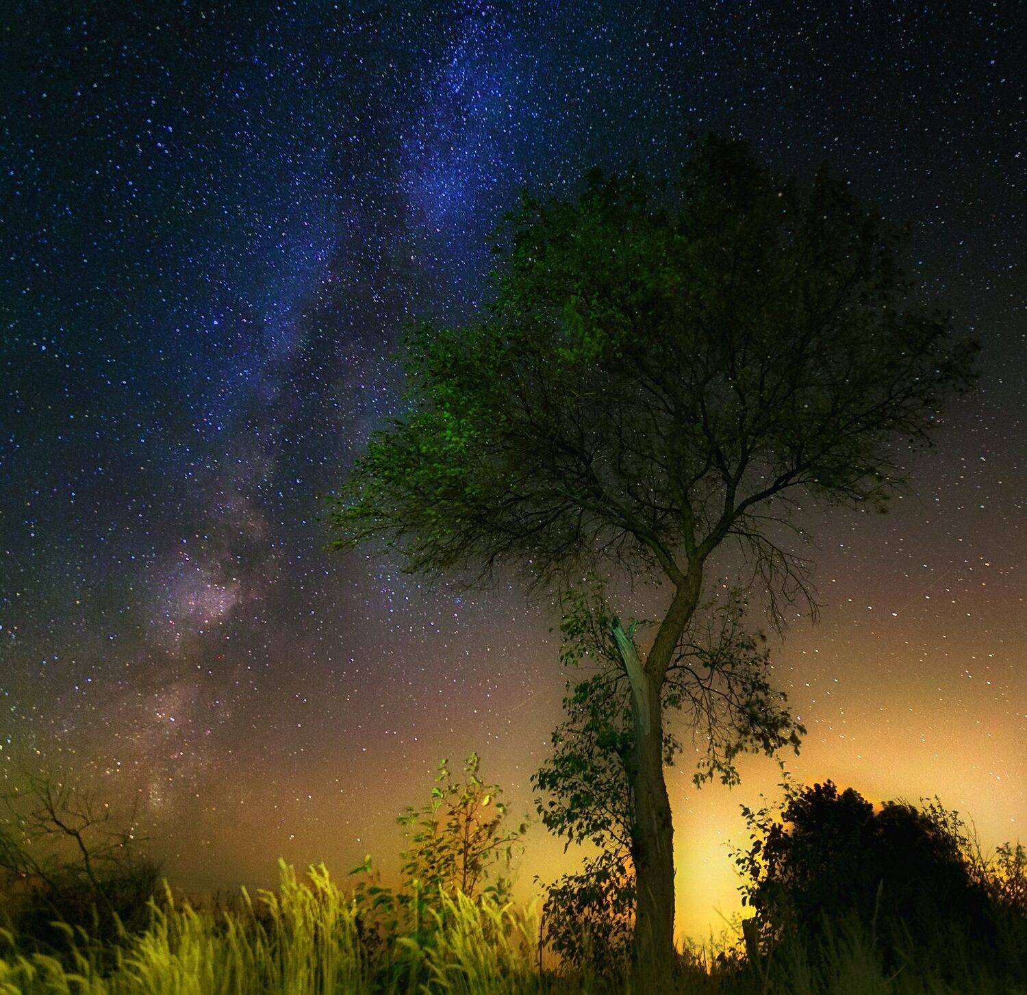 , Павел Сагайдак