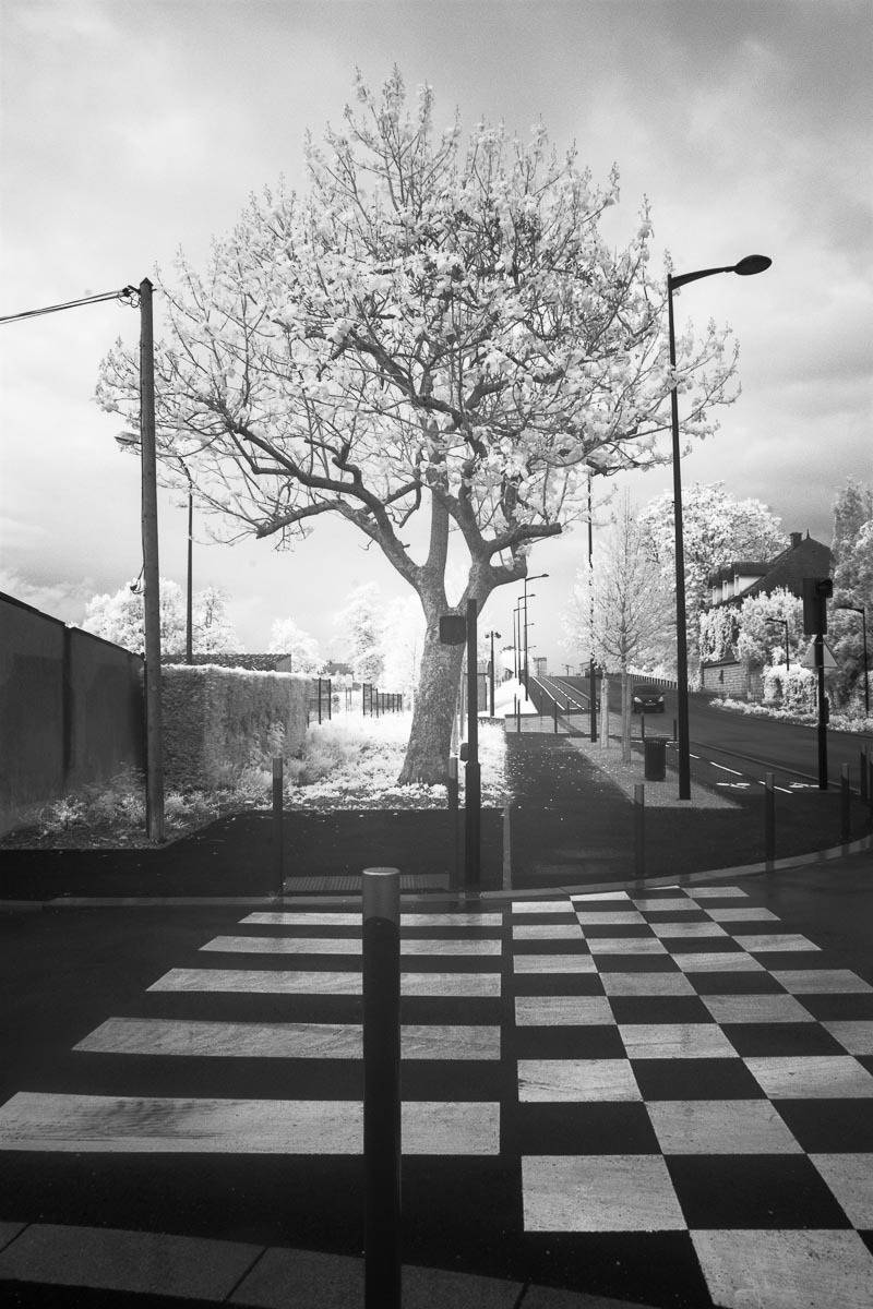 , Сергей Козинцев