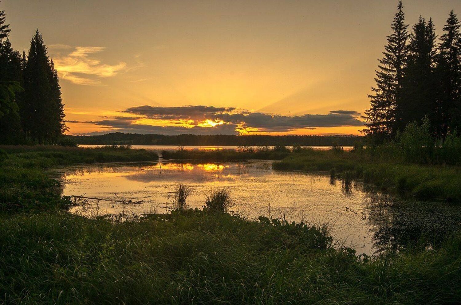 лето,тепло,закат, Карепанов Евгений