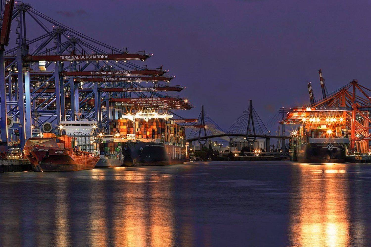 , Игорь Дубровский