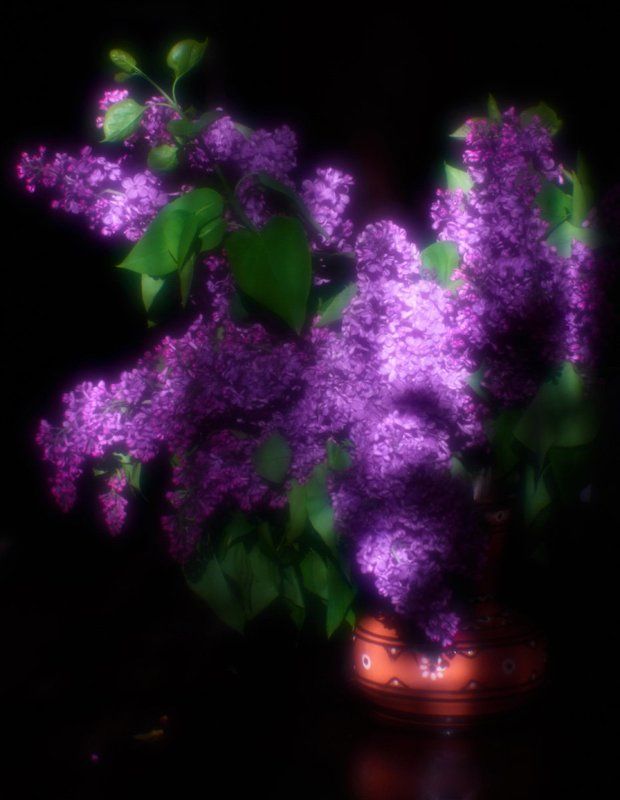 Сирень фото превью