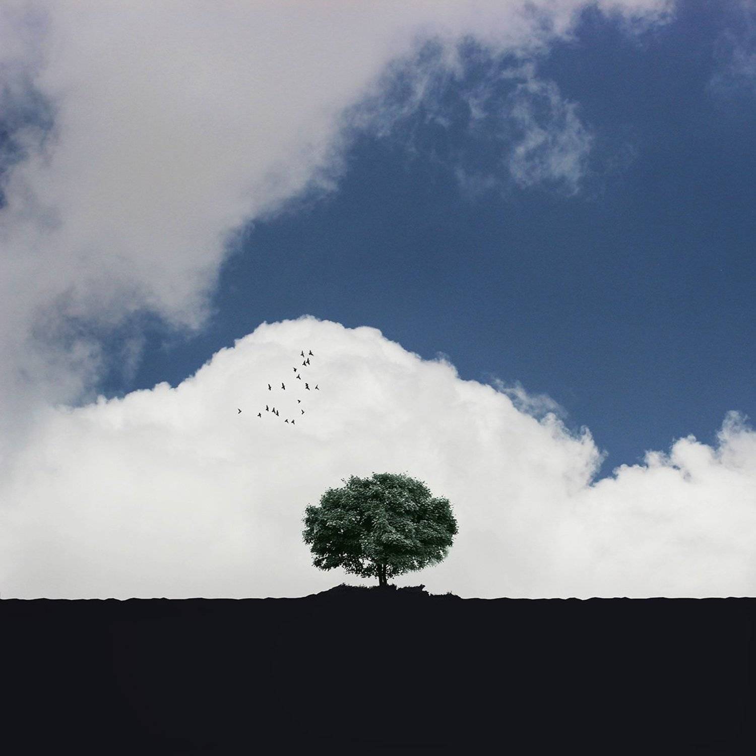 creative, fineart, conceptual, tree, gree, birds, landscape, blue, minimal, , Milad Safabakhsh