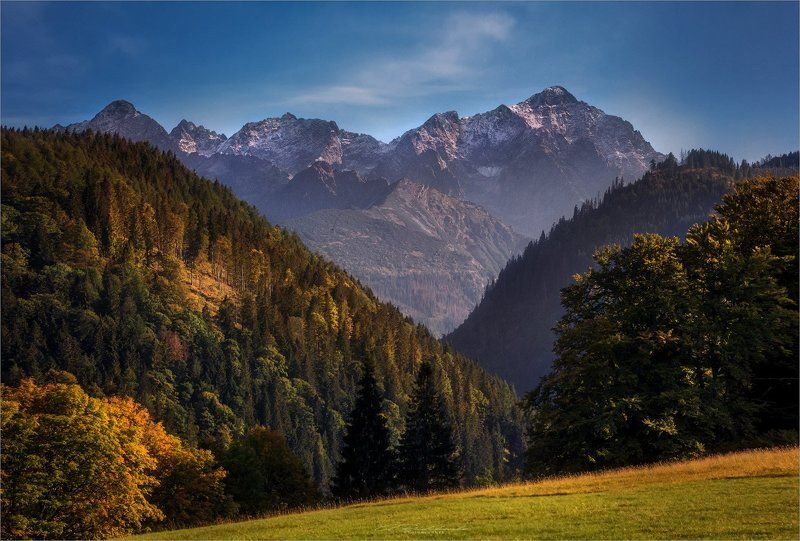 Величьем своим не пугая... фото превью
