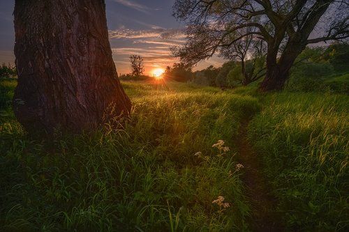 / Подмосковные вечера... /