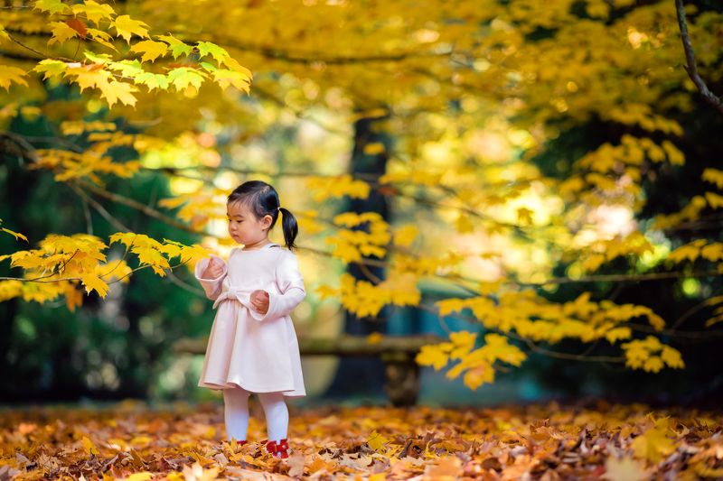 kid, child, girl, breenhold garden, face, discovery, autumn, leaf, leaves,face                                                                                                                                                                                  Autumn touch фото превью