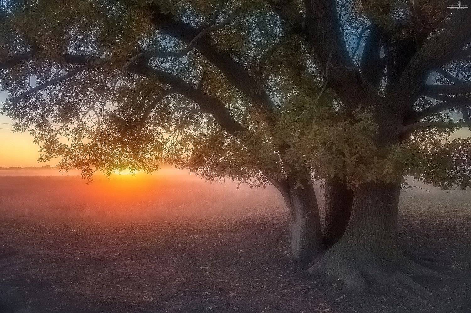 , Попрошаев Сергей
