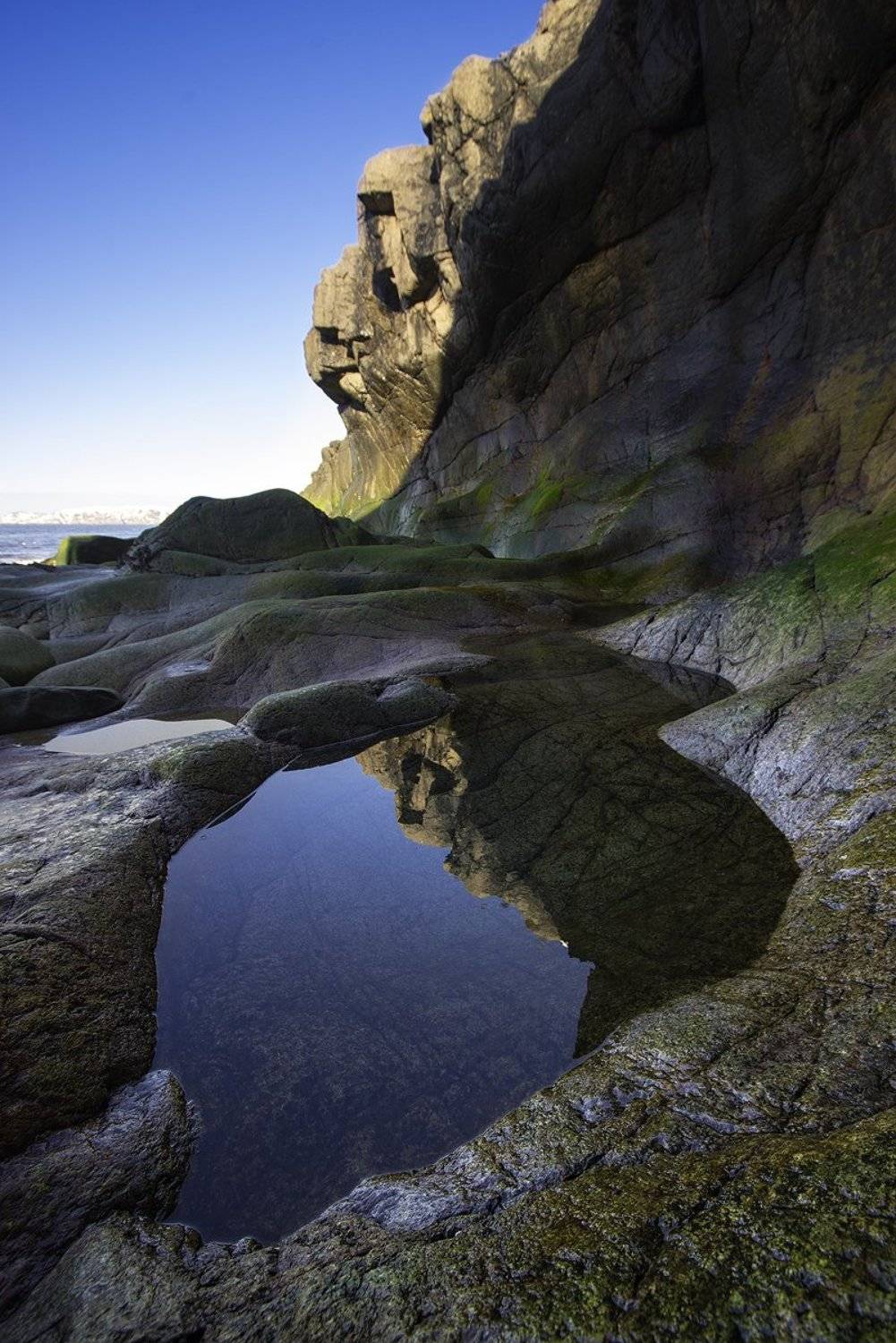 , Александр Шаранов