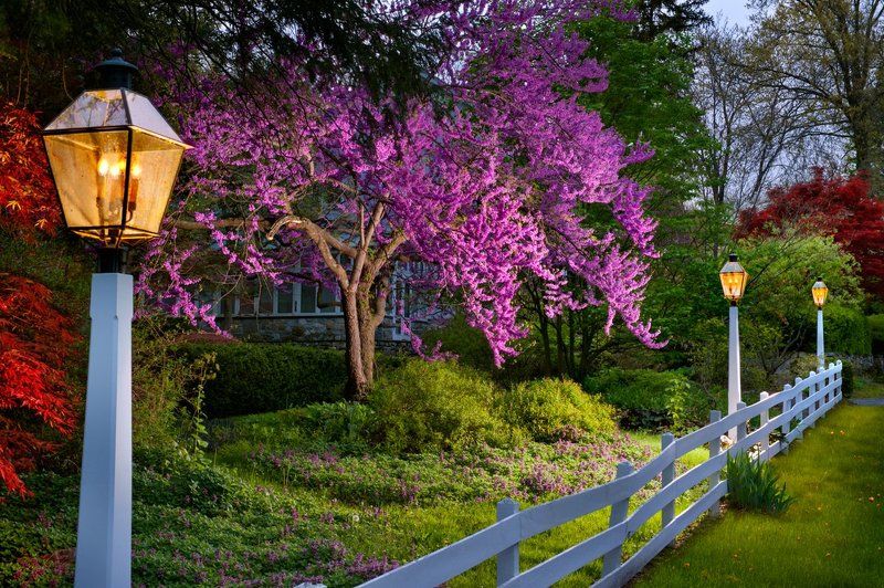 Spring by the Light фото превью