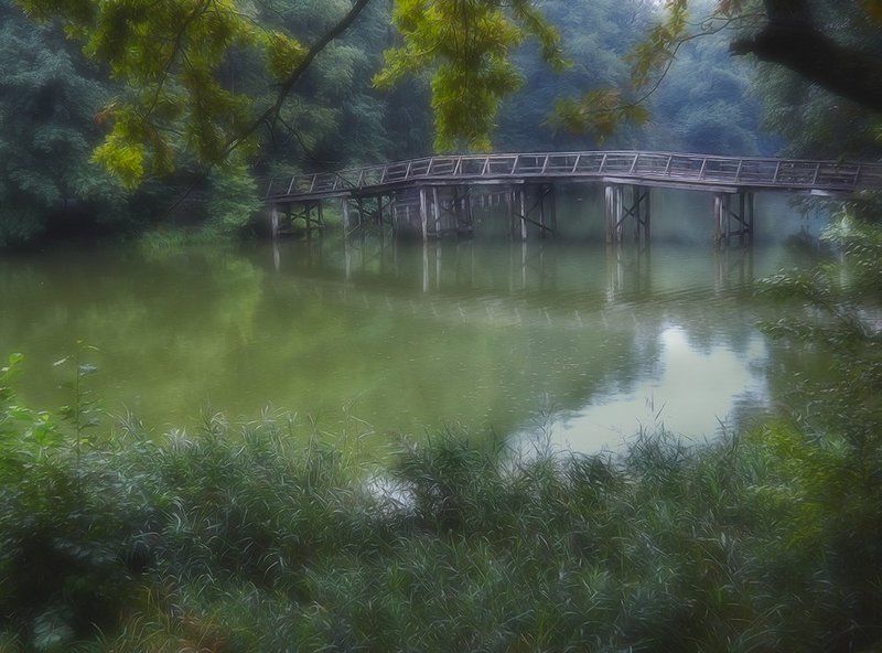 старый парк фото превью