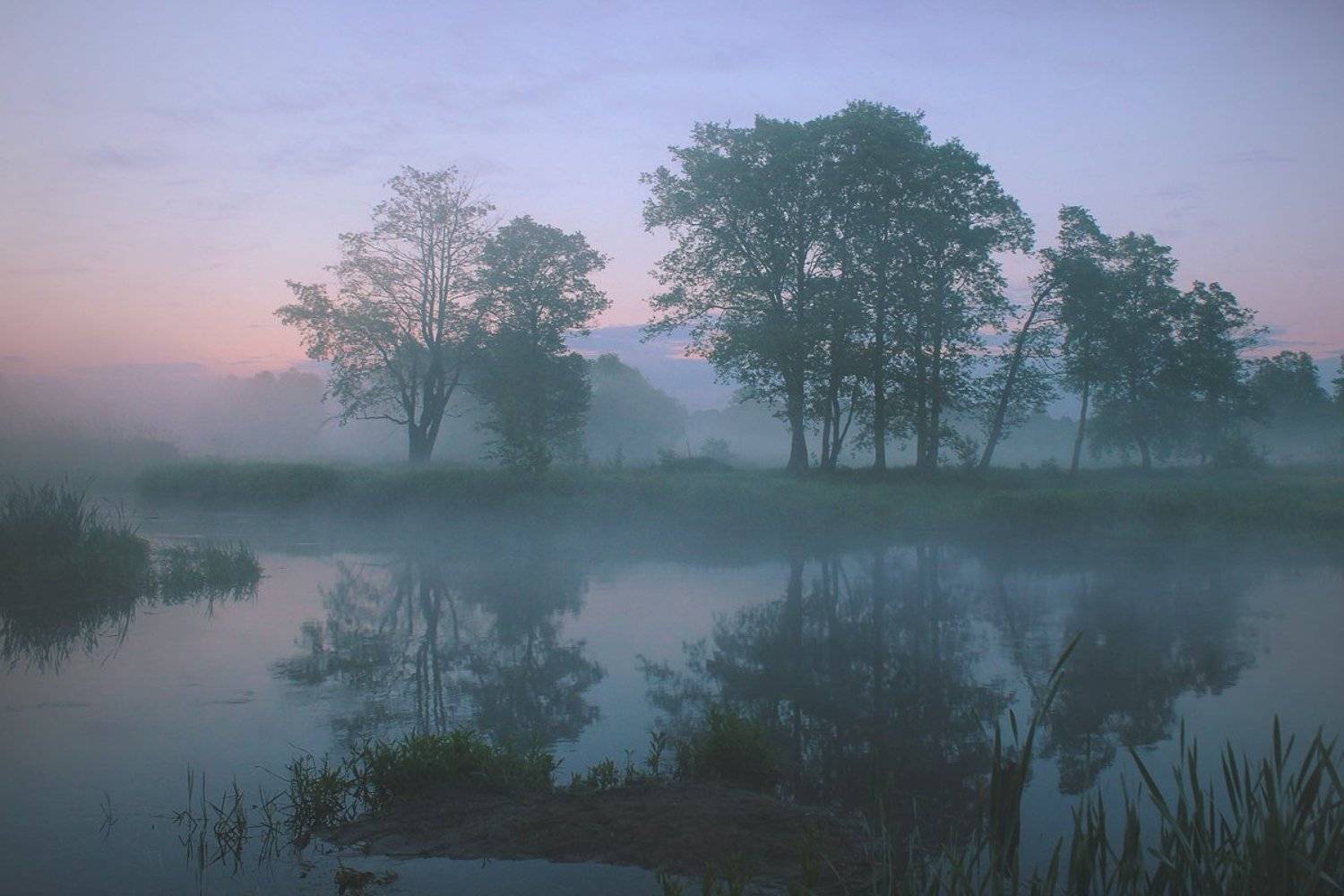 , Игорь Денисов