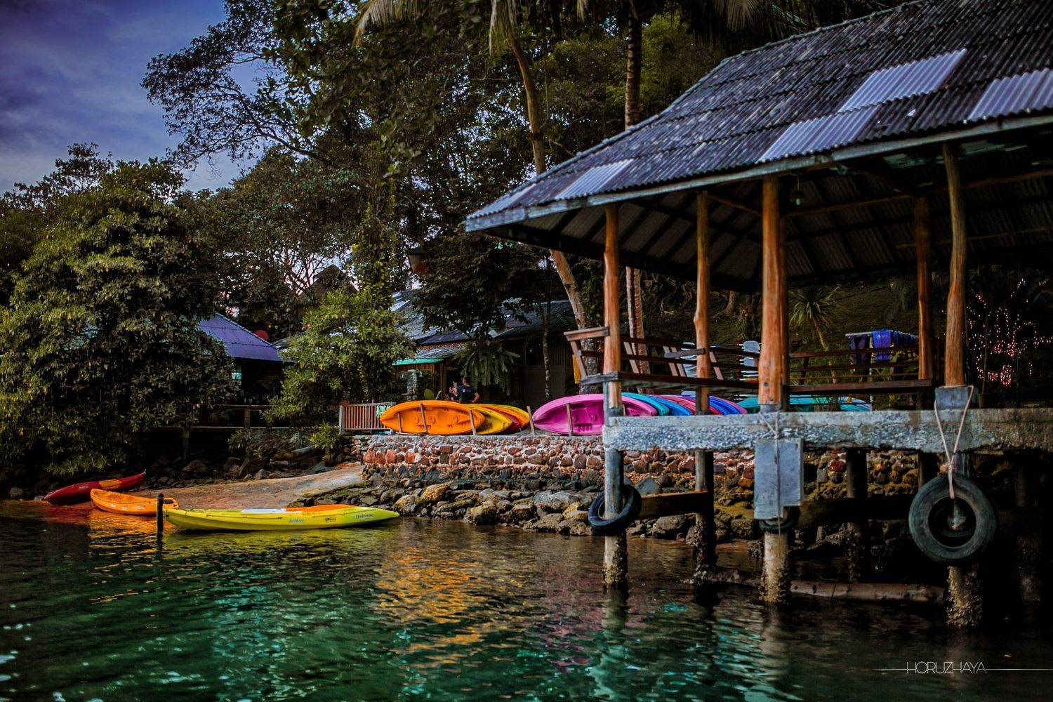 , Евгения Хоружая