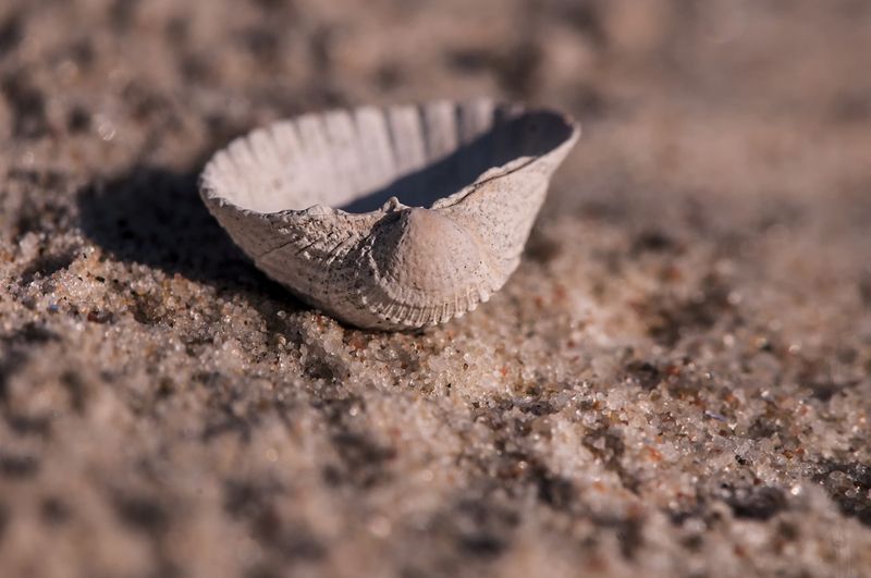 Listen to the  silence of dunes ... фото превью