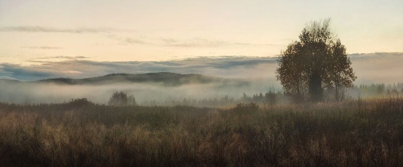 Сумерки Вартиолампи фото превью