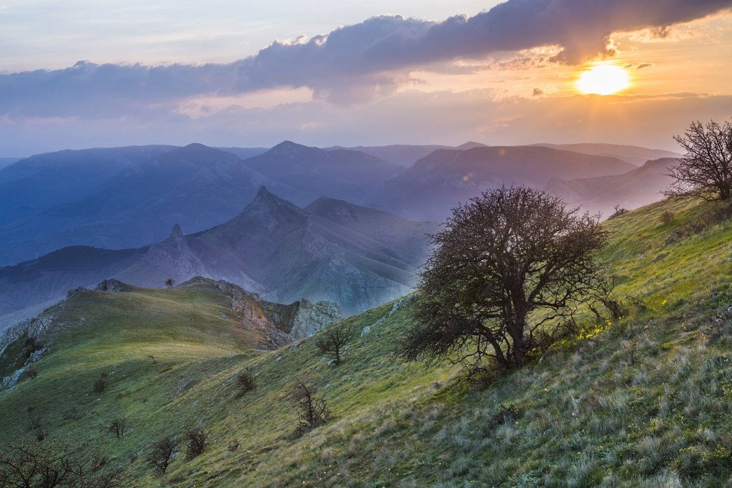 , Станислав Савицкий