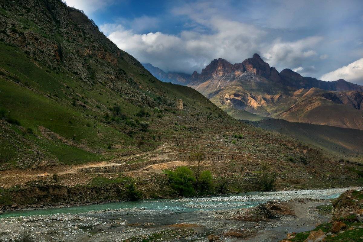 , Елена Брежицкая