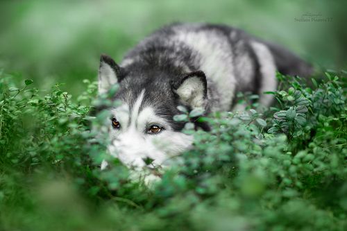 Вдыхаем первые ароматы весны:)))