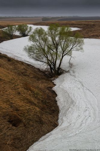 Весенний Инь-Ян