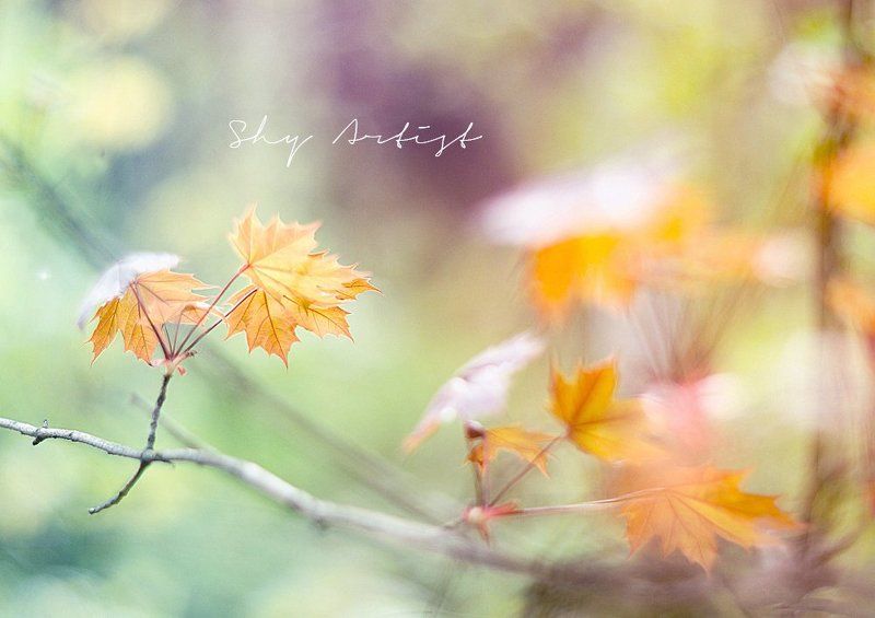 ......... фото превью