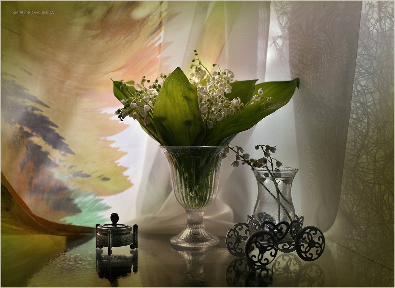 , Шипунова Ирина