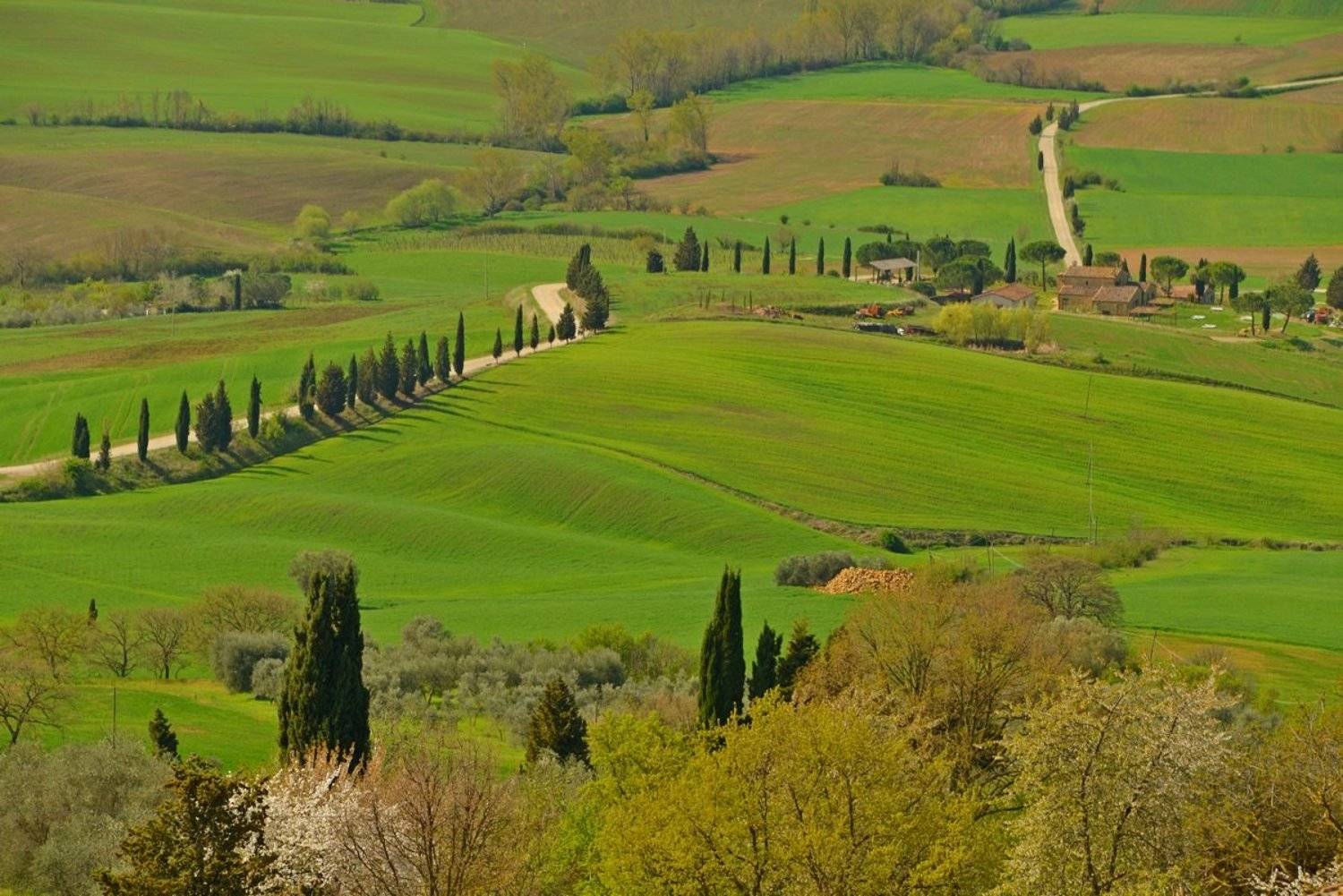 Тоскана, Италия, Олег Потехин
