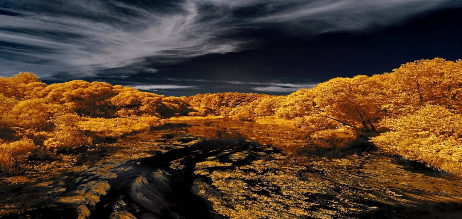 infrared,ик-фото,инфракрасное фото,инфракрасная фотография,пейзаж,природа,беларусь,лето, Sixten ( Сергей )