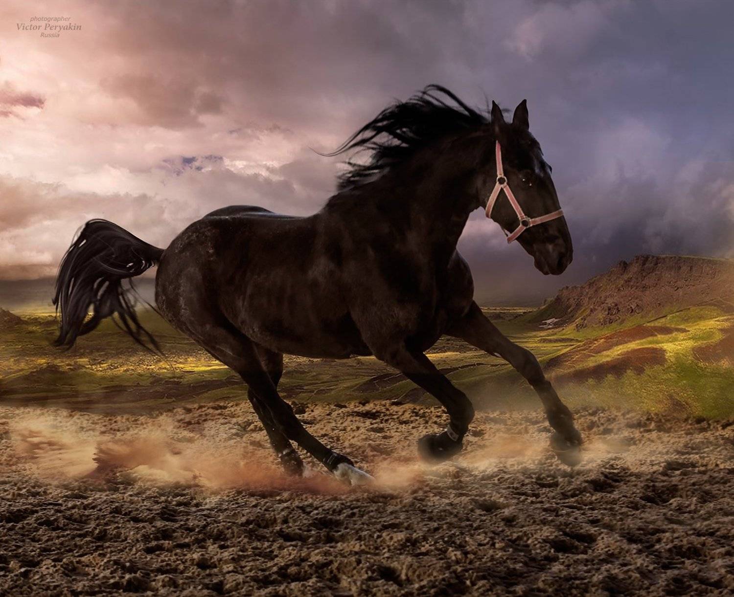 , Виктор Перякин