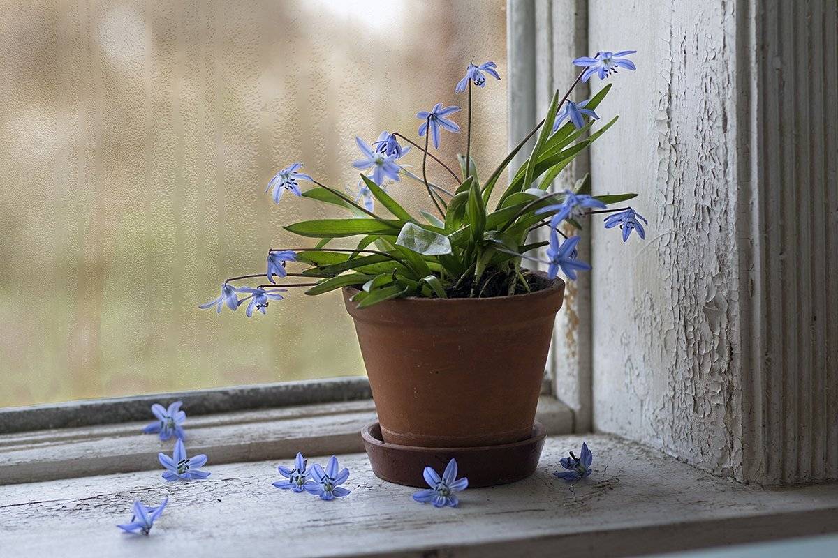 , Наталья Бочкарева