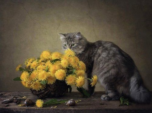 Весенние игры Масяни