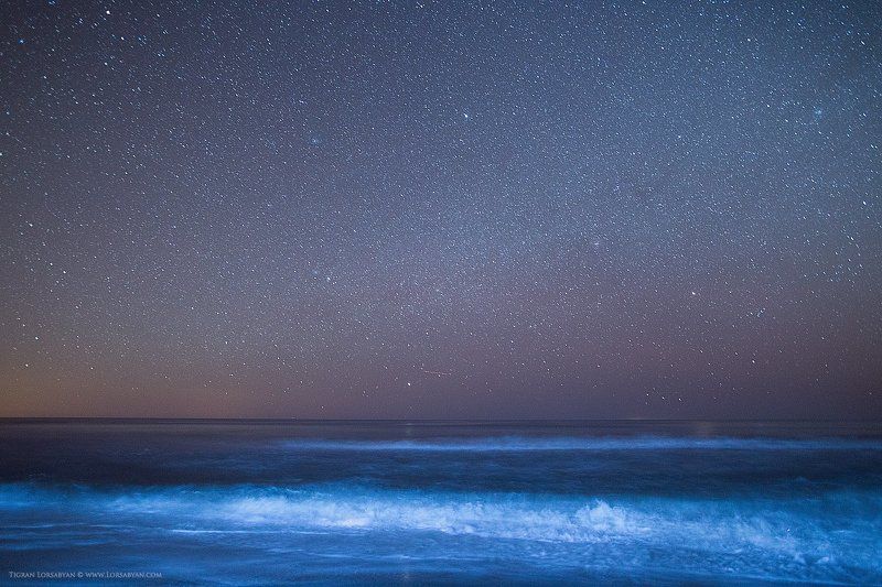 Black Sea фото превью