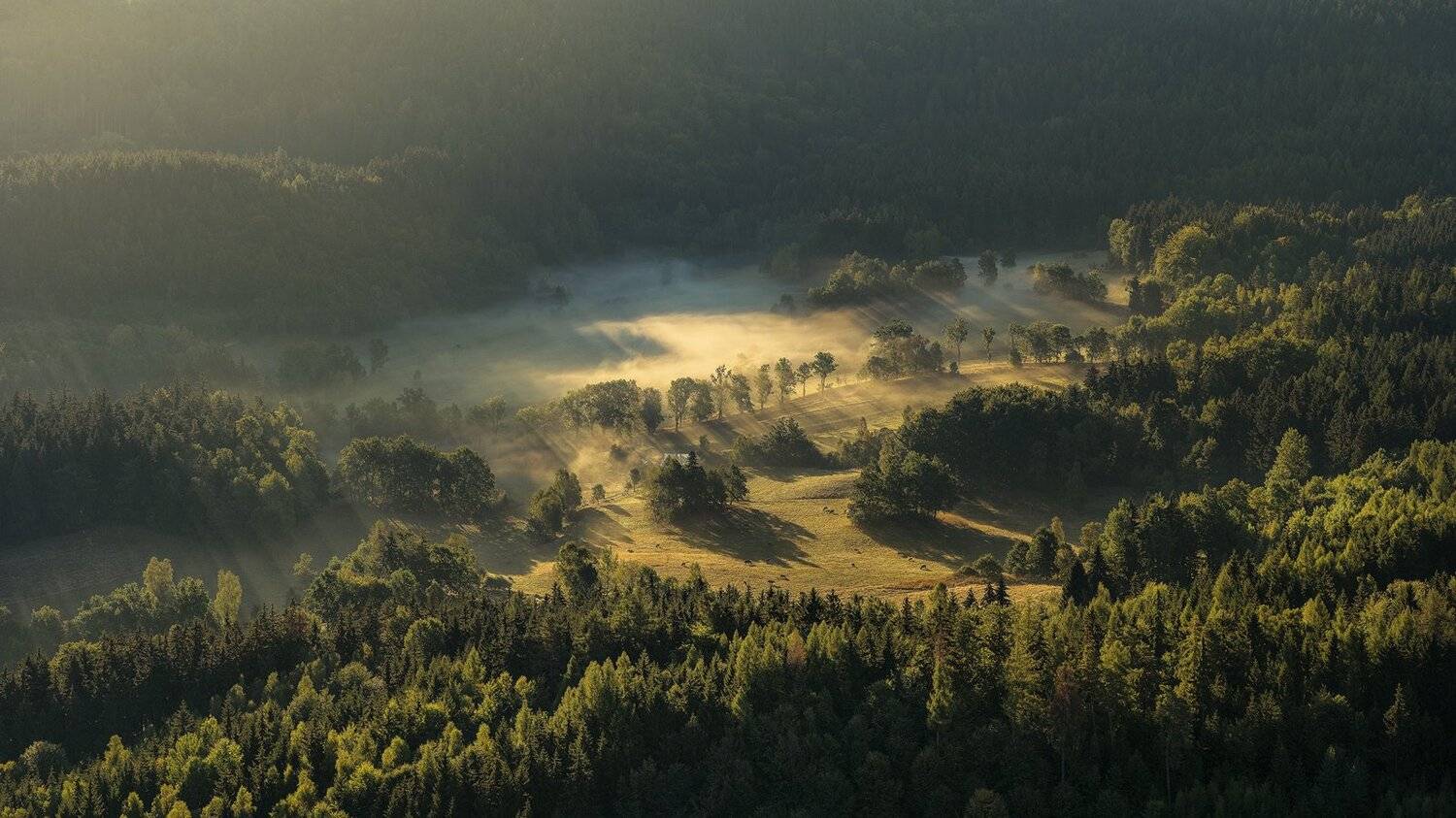 landscape,canon,mist,light,spring, Iza,Darek