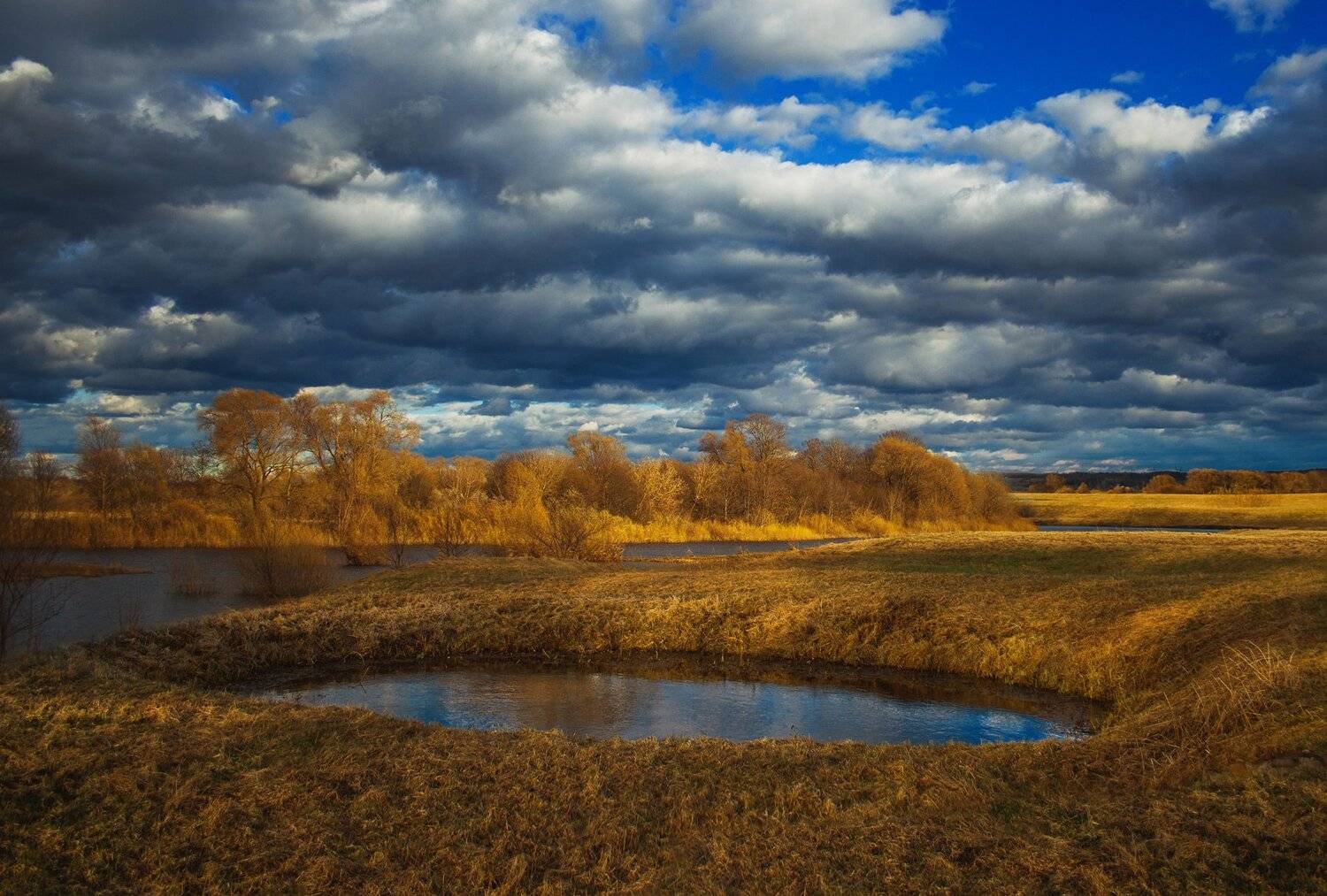 фото, природа, пейзаж, весна, закат, поле, лес, Екатерина