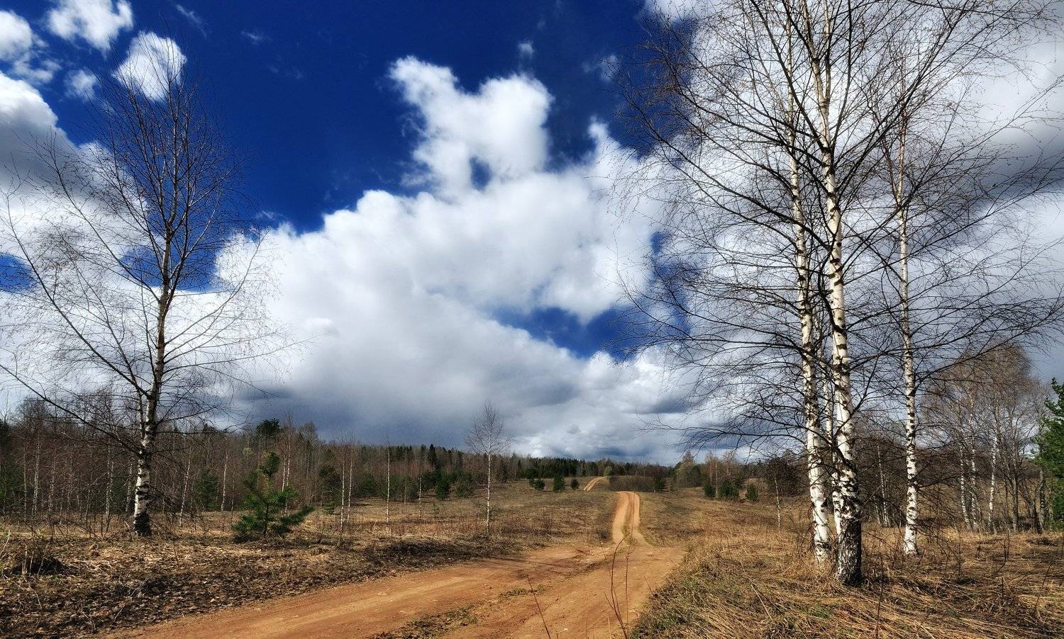 , Андрей Куликов