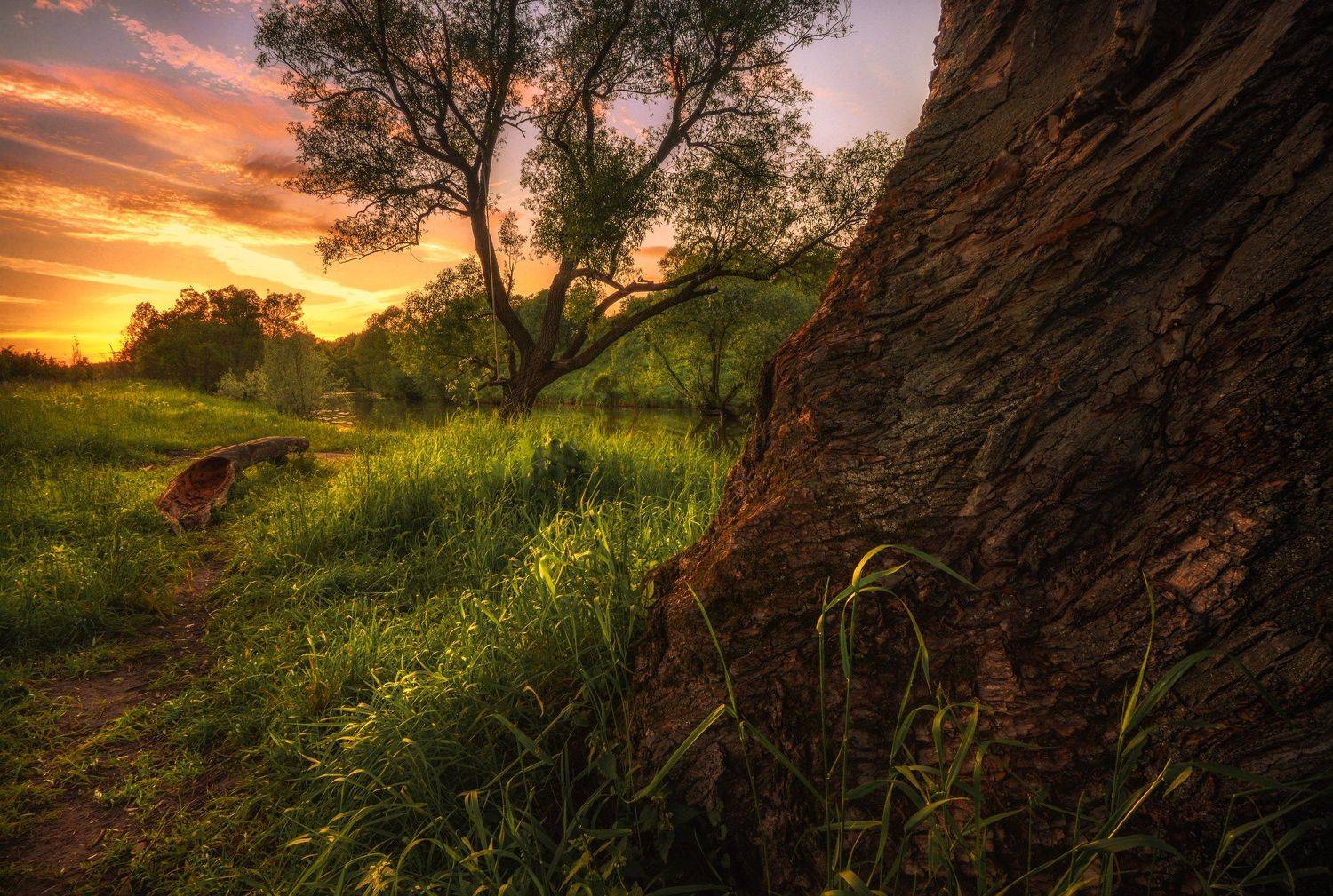 никон,пейзаж, Морозов Юрий