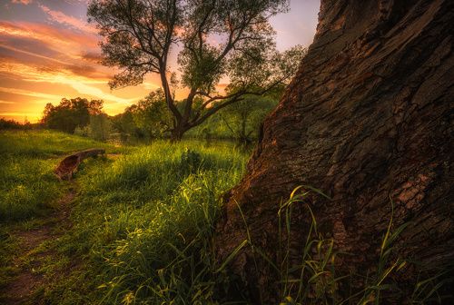 / У Лукоморья... /