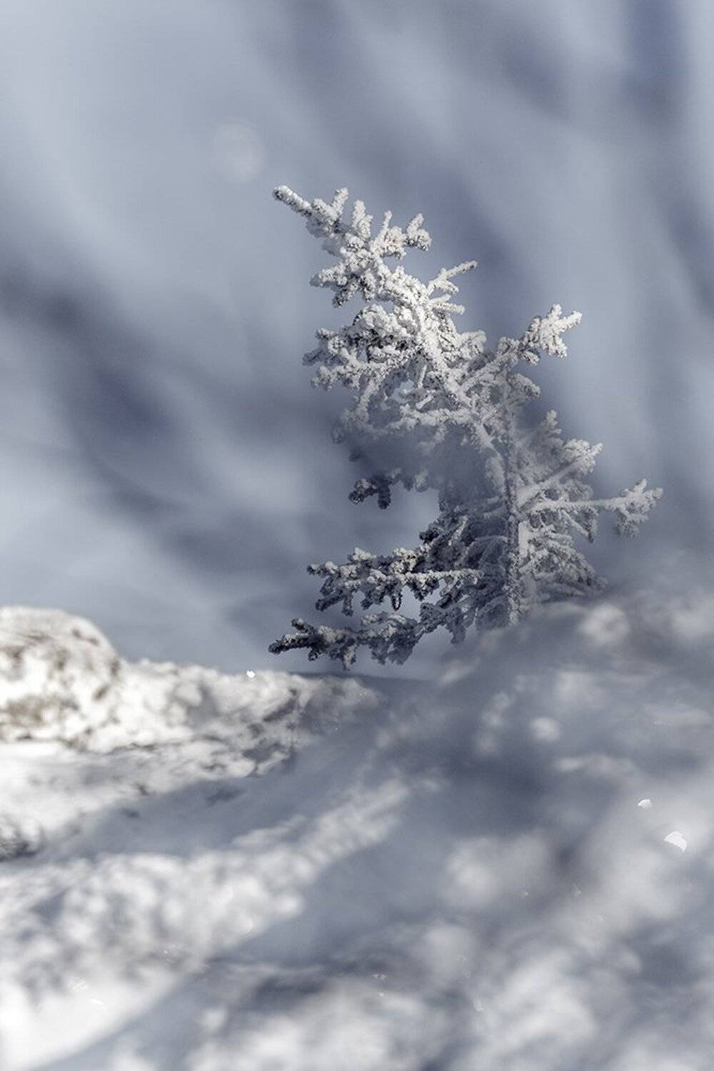 урал,зима,таганай,белый,горы,снег,солнце, Dmitry Bastet